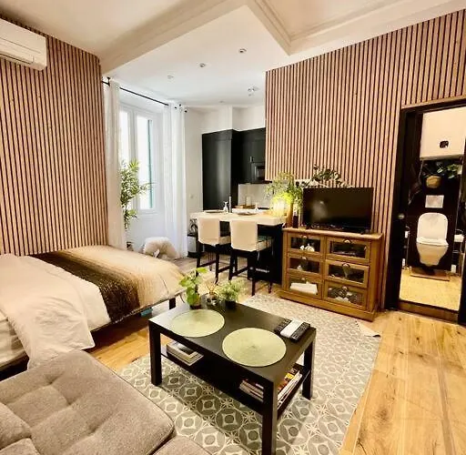 Apartment De Charme En Hyper Centre Ajaccio (Corsica)